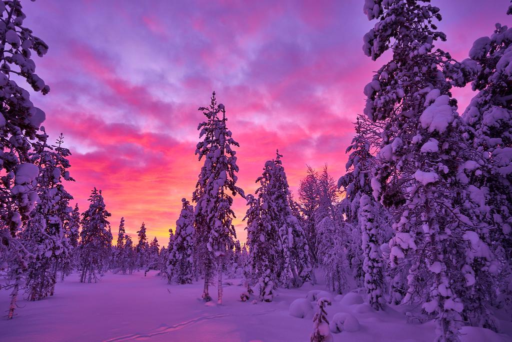 Lapland Guesthouse Kangos Eksteriør billede
