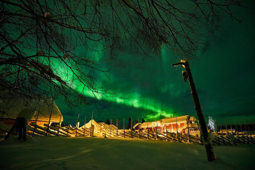 Lapland Guesthouse Kangos Eksteriør billede