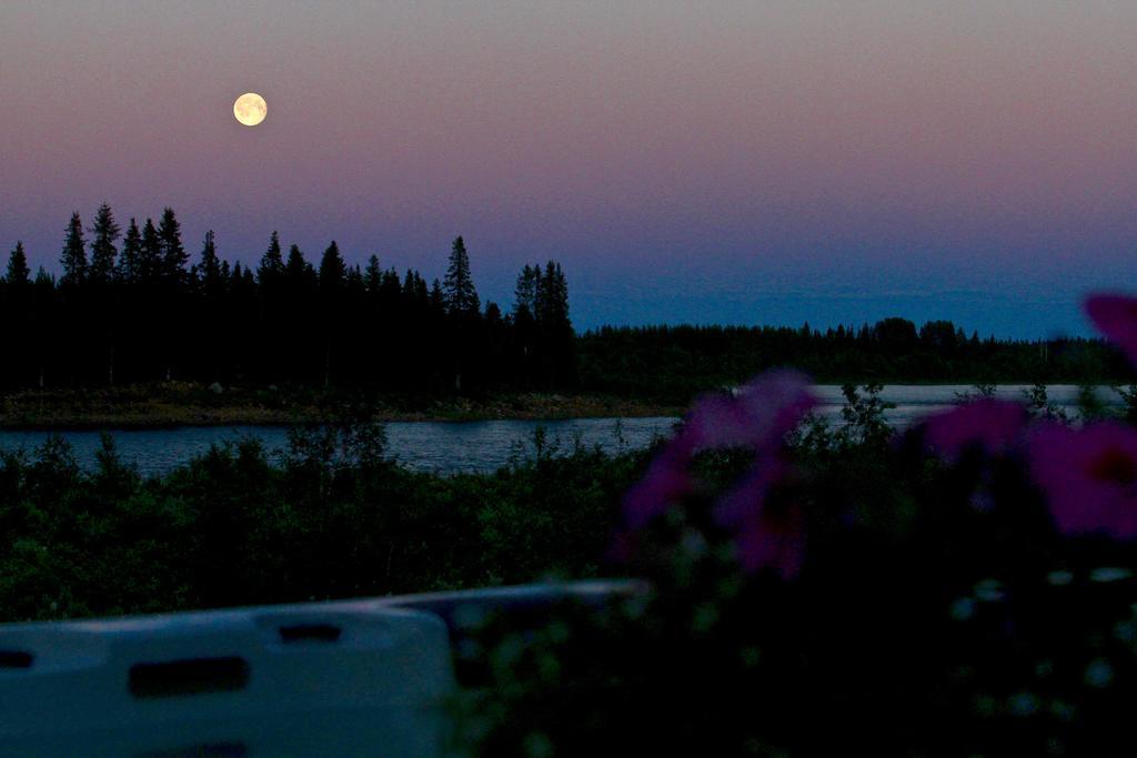 Lapland Guesthouse Kangos Eksteriør billede