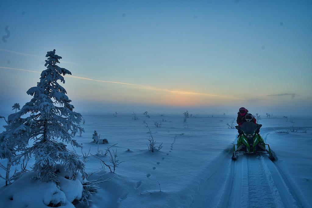 Lapland Guesthouse Kangos Eksteriør billede
