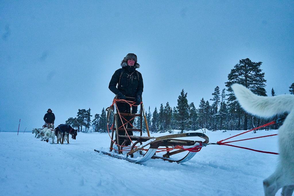 Lapland Guesthouse Kangos Eksteriør billede